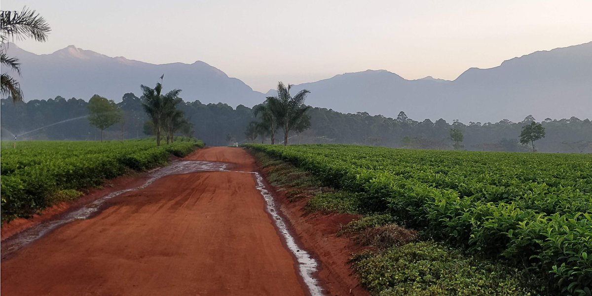 Nutcellars's tweet photo. Do you know what Fairtrade is and how significant it is? 🤷
Check out our blog post explaining its importance in prospering farmers’ lives, and how Nutcellars is going to leap into the market with our macadamia nuts ⏩
https://t.co/fOyUeeyeUZ
#fairtrade #nut https://t.co/d5toLflKbn