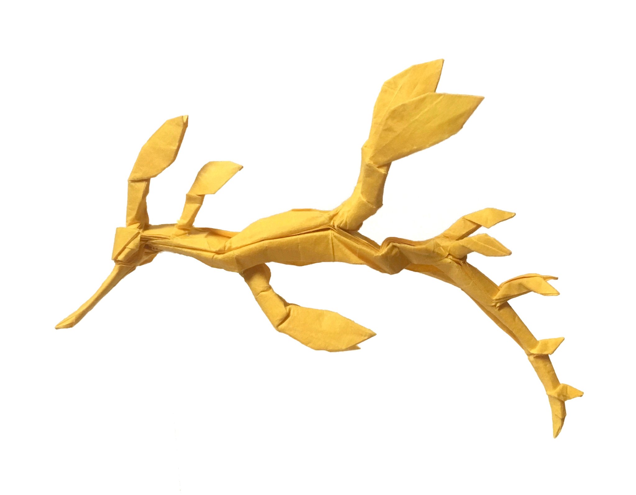 goldcatorigami (@goldcat0124) / X