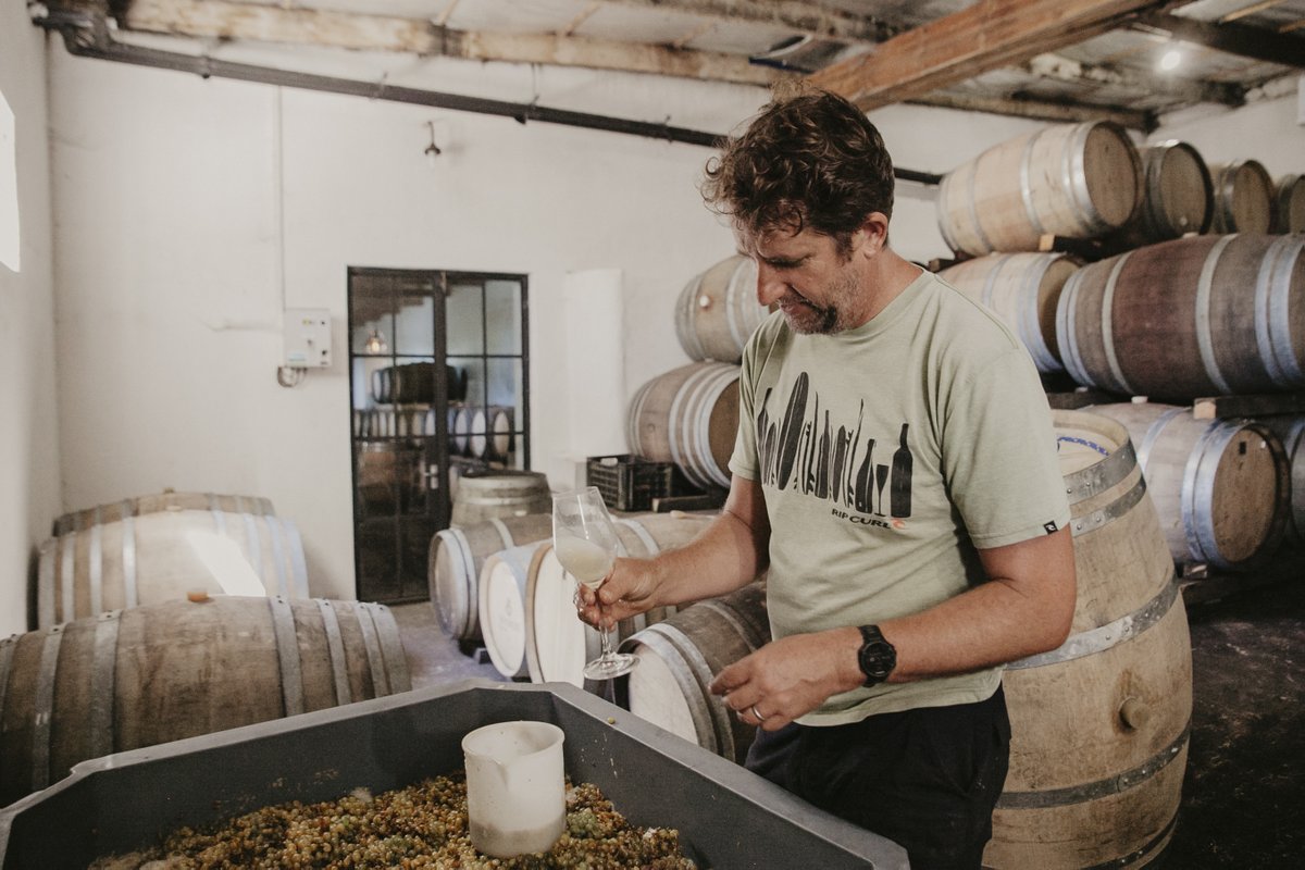 Behind the scenes in the cellar with Sebastian: 'This 400L bin of whole bunch fermented Chenin blanc grapes could be used for the future Leo's CWG wine.'