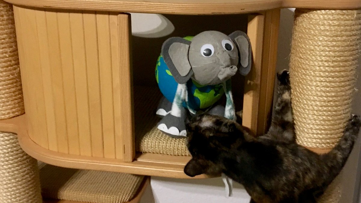 Auch der #OGEfant bleibt Zuhause. Und findet's gar nicht so schlecht. Das Team von #OpenGeoEdu arbeitet weiter an spannenden Übungen zu #GIS und #OpenData per Fernunterricht und #Fernstudium."

#wirbleibenzuhause
#ScienceAtHome