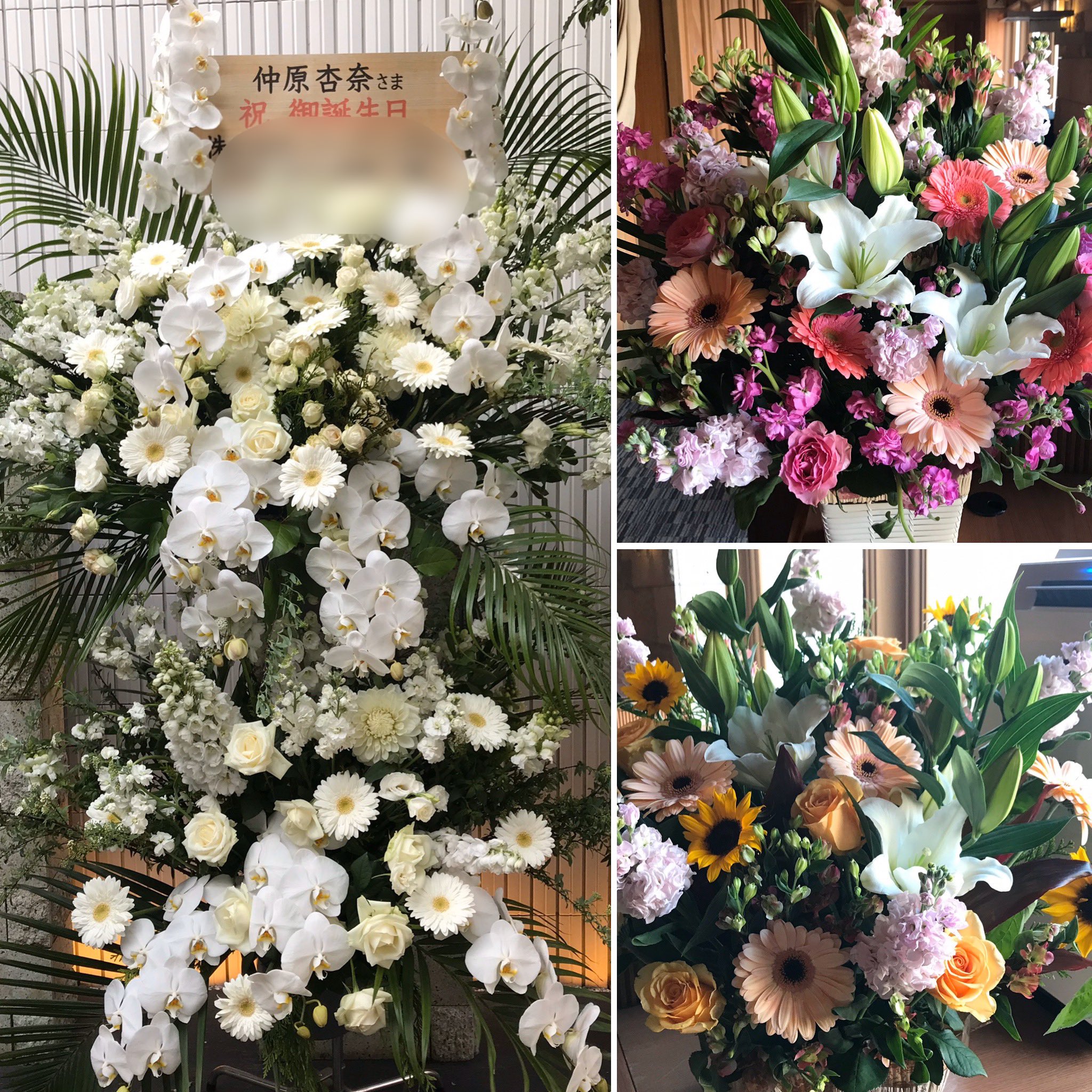 博多花屋 Twitter Search Twitter