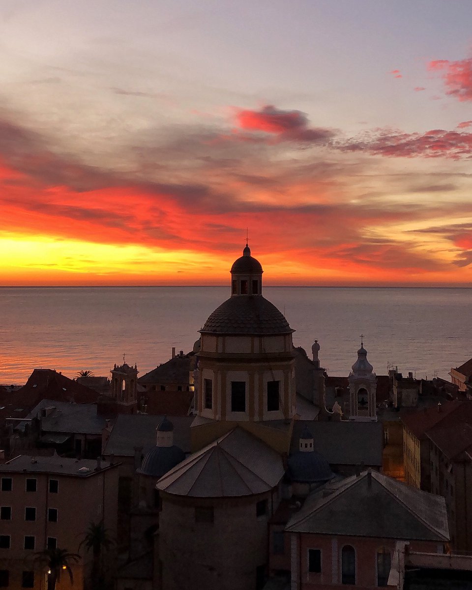 daniela stratta tweet media