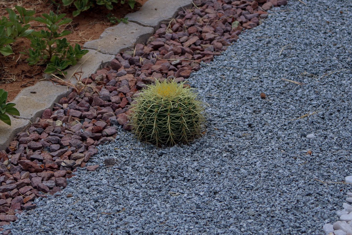 terrycactus's tweet photo. We are currently working on our landscapes with our unique cactus theme and our gardens are looking beautiful 😍. Call us and arrange a viewing appointment today.

Still taking bookings and we are flexible enough to change dates as and when needed due to the Corona Virus outbreak https://t.co/WbaVU0QQfJ