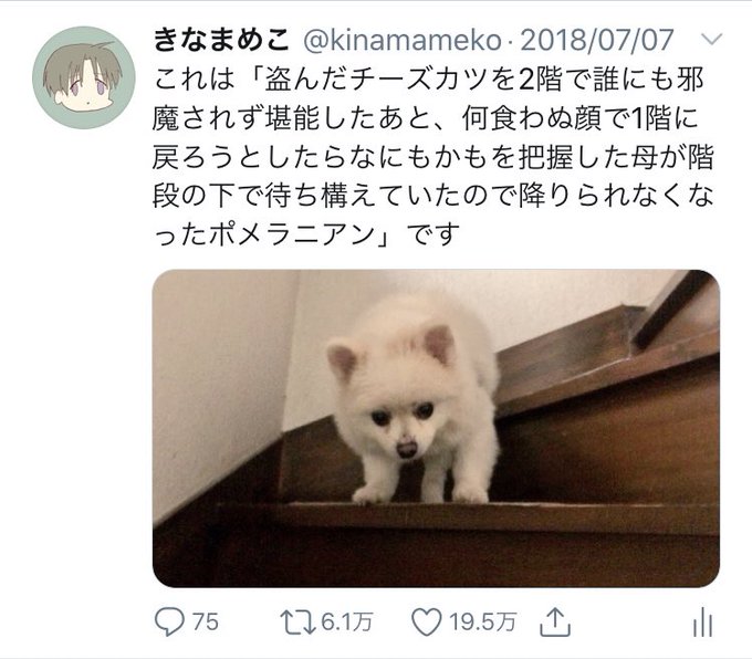 #自分のTwitterいいねTOP3をあげる
ちゃんと第3位が絵だったので安心しました。 