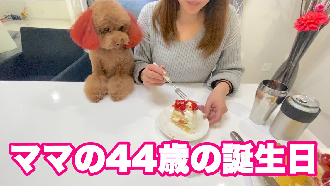 トイプードルぷー tweet media