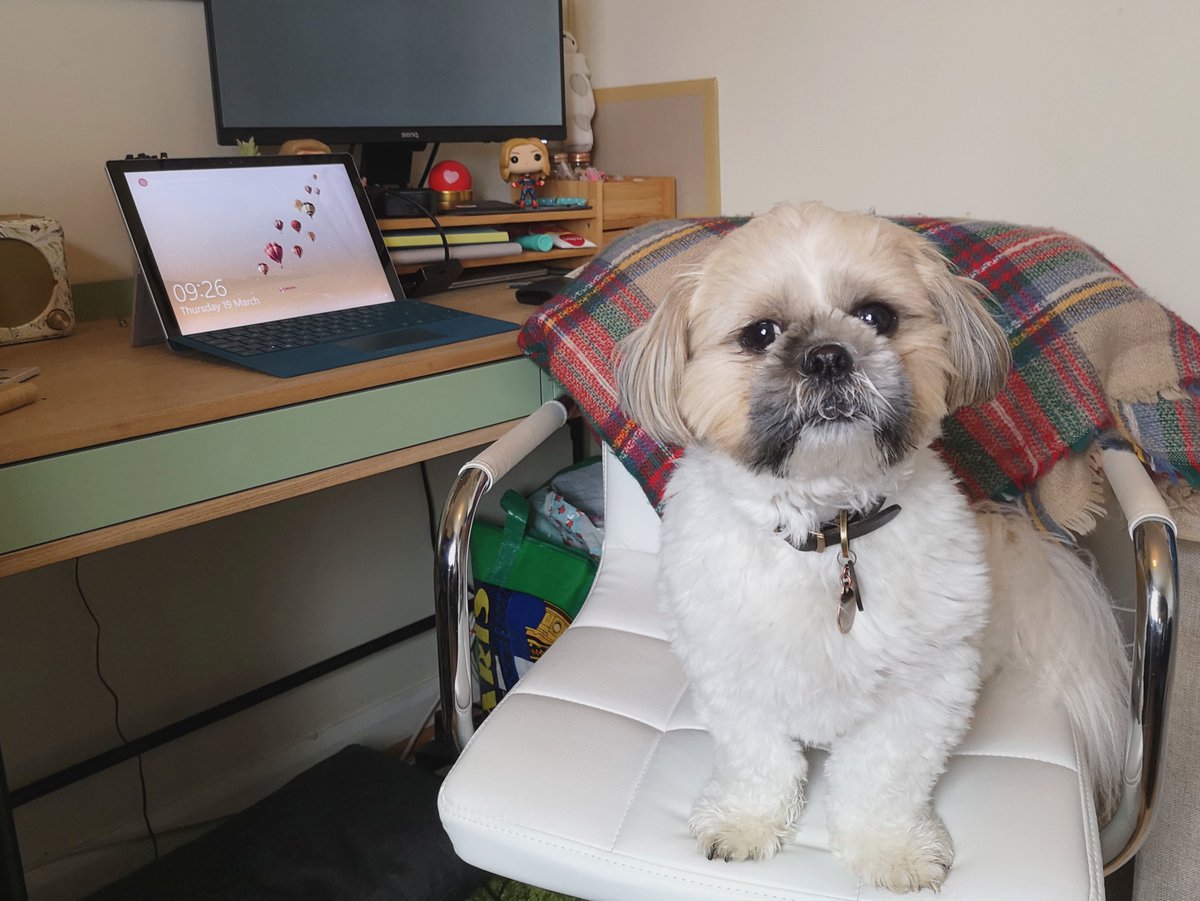 TheInsightLab's tweet image. Started working with a new colleague... I hope he hasn't brought a smelly lunch with him... 
#workingfromhome #coronavirusuk #StaySafeStayHome #dogsworkingfromhome