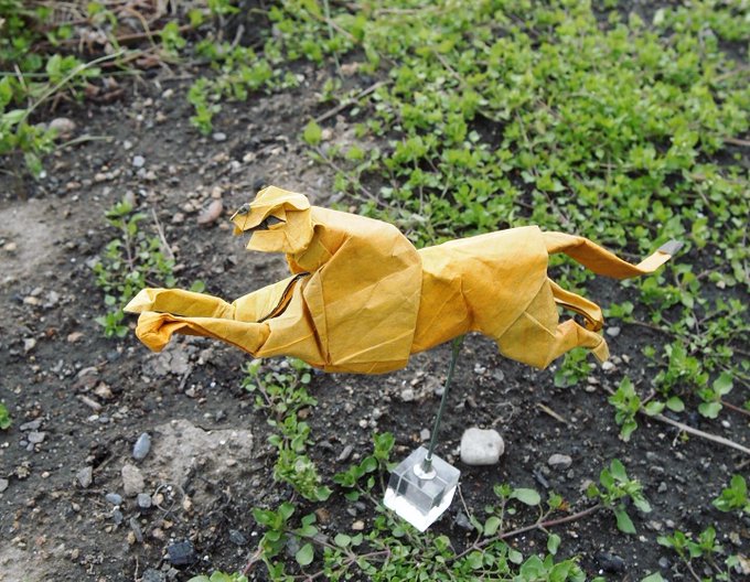 一匹柴犬さん がハッシュタグ Origami をつけたツイート一覧 3 Whotwi グラフィカルtwitter分析 一匹柴犬さん がハッシュタグ Origami をつけたツイート一覧 3 Whotwi グラフィカルtwitter分析