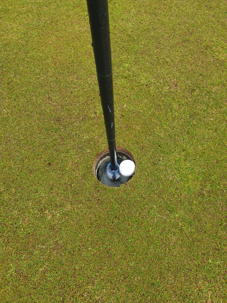 johnny shields tweet media