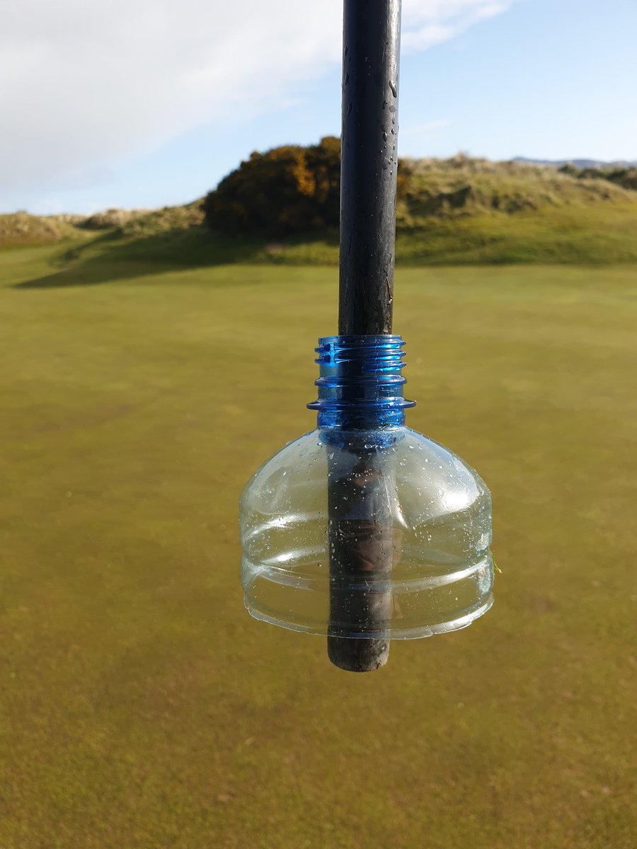 johnny shields tweet media