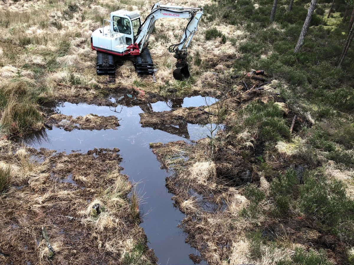alaska_ltd's tweet photo. Beaver excavator used to create Dragonfly Bog Pools at Moors Valley Country Park @moorsvalley
Its a good job Beavers are vegetarian!
Thanks to the amazing staff at Forestry England. https://t.co/NCZwKDRwtM