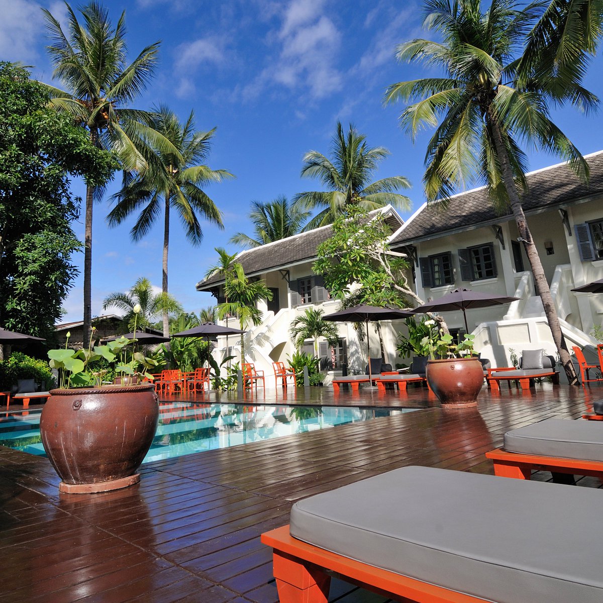 villamaly's tweet photo. 📣 Enjoy refreshing dips 🏊‍♂ in our swimming pool accompanied by a chilly beer or soft drink while in #LuangPrabang. You're all welcome. ▪Only US$10 net/ person including a drink #pooltime
📍 75 Oupalath Khamboua Road, Ban That Luang Village, Luang Prabang https://t.co/KwdPqYYWiT