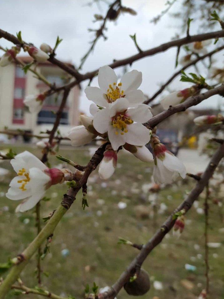 _Fevaide's tweet photo. .
Çiçeğim sen dediği........🌼 https://t.co/oitlxDaZaX