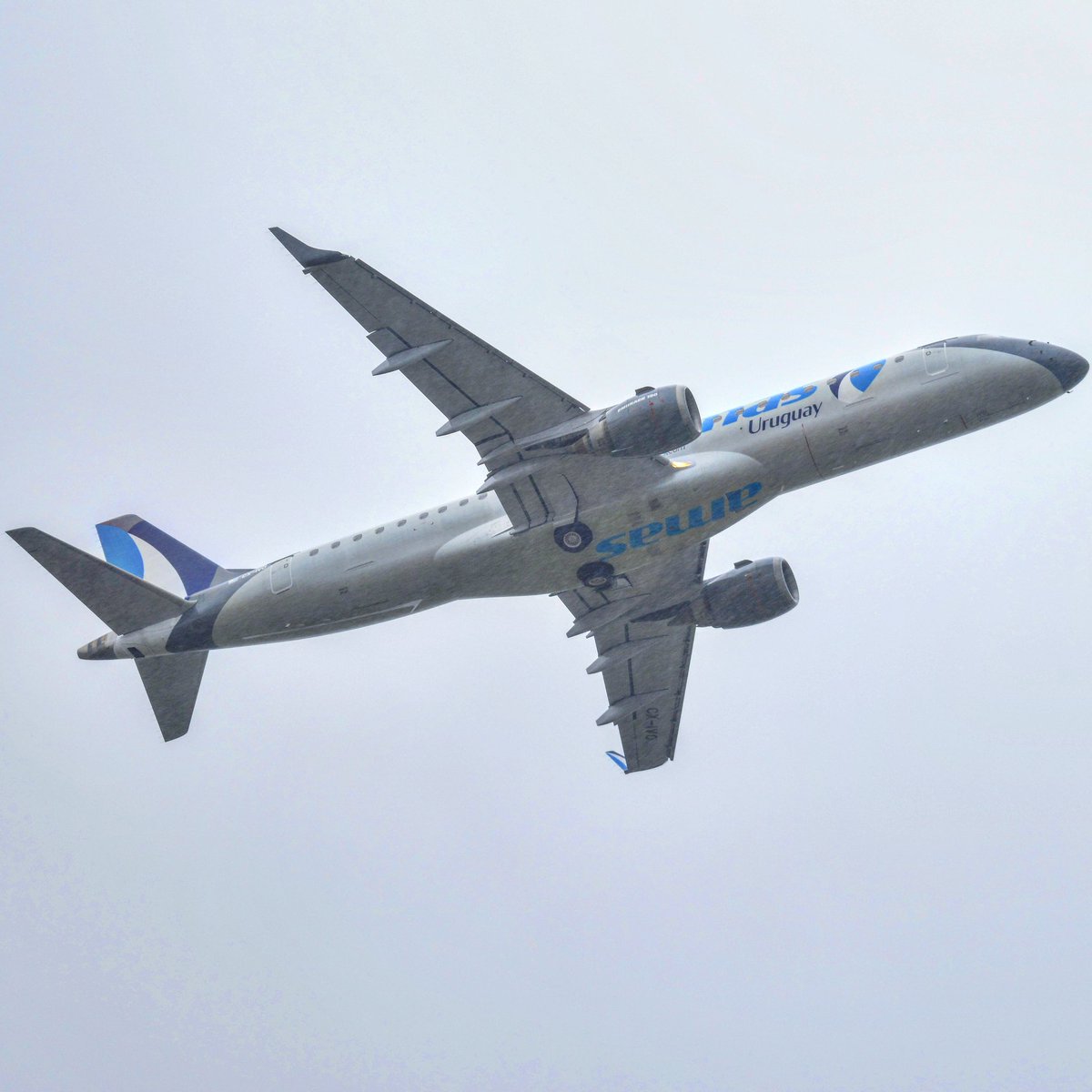 Juan José tweet media