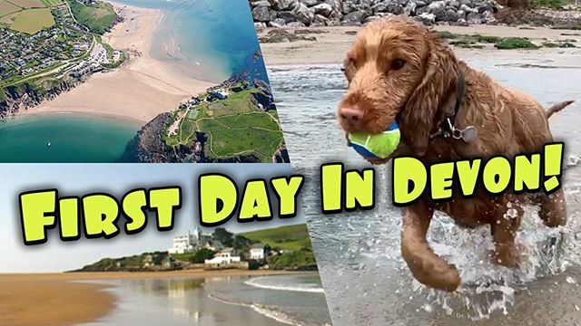 CookieSaysWoof's tweet photo. Cookie’s first day at the beach near her new home. She loved it of course! Link in bio or here - https://t.co/tKzfmBK9rR
⁣
#puppylove #devon #devonbeach #bigburyonsea #devonbeaches #dogfriendly #dogfriendlybeach #instadog #spanielsofinstagram #englishco… https://t.co/e7YdxcWRot https://t.co/VJzL6jrVDz
