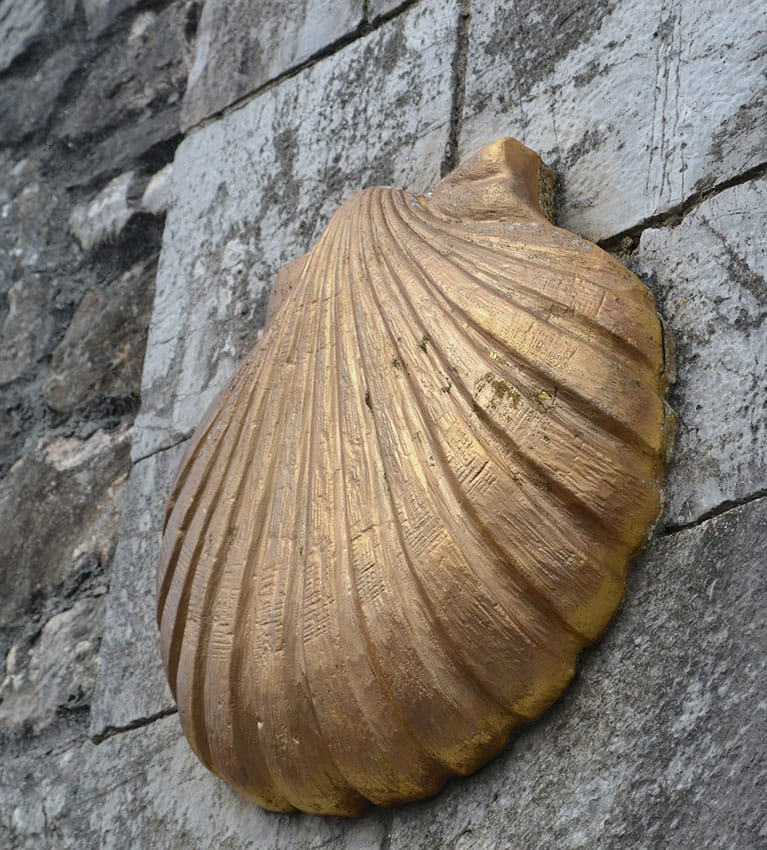 benadam49's tweet photo. #Santiago 
#conchiglia pecten
simbolo della
#rinascita IN  CORSO DI VITA,
"da vecchio" dice Gesù,
la SOLA #resurrezione da Lui insegnata,
segreto simbolo templare che richiama il crist. filosofico dei VERIAPOSTOLI
oggi incompreso e negato dal Crist. del fariseo Paolo
#gesudiverso https://t.co/QzbbwG6S6z