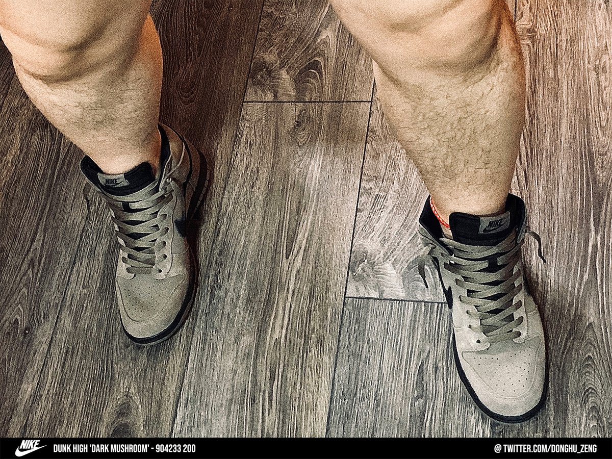 dunk high dark mushroom