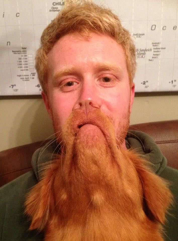 TillytheToller's tweet photo. @thismorning my husband went viral with this photo I took in our house! Look closely and you can see our dog, Tilly! No photoshop. Just good timing and a dog treat! #thismorning #goingviral #viral #viralphoto #tillythetoller #novascotiaducktollingreteiever #toller #dog https://t.co/DD9IrTdWmy