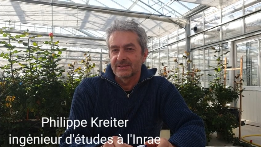 INRAE_Lutte_Bio's tweet photo. Découvrez #COCHORTI : un projet pour l'étude des #cochenilles en cultures #ornementales avec #PhilippeKreiter @astredhor
(chef de file) @stationcream @chambagri06 @Anses_fr @TbilisiU @INRAE_Lutte_Bio #Recherche et #Développement en #LutteBiologique
https://t.co/8sFKnqfspW https://t.co/iiK8agJlcN