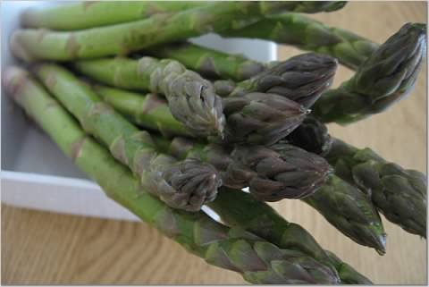 tigerfish's tweet image. 1lb (typically a std. grocery bunch) asparagus ~100cal, 9g #protein , good source of #fiber, potassium, folate #springproduce #veggies #haveaplant #plantbased #nutrition #brainfood #HealthyFood #HealthyEating. Asparagus #HealthyRecipes #StayHome #Cooking bit.ly/38ZM3cR