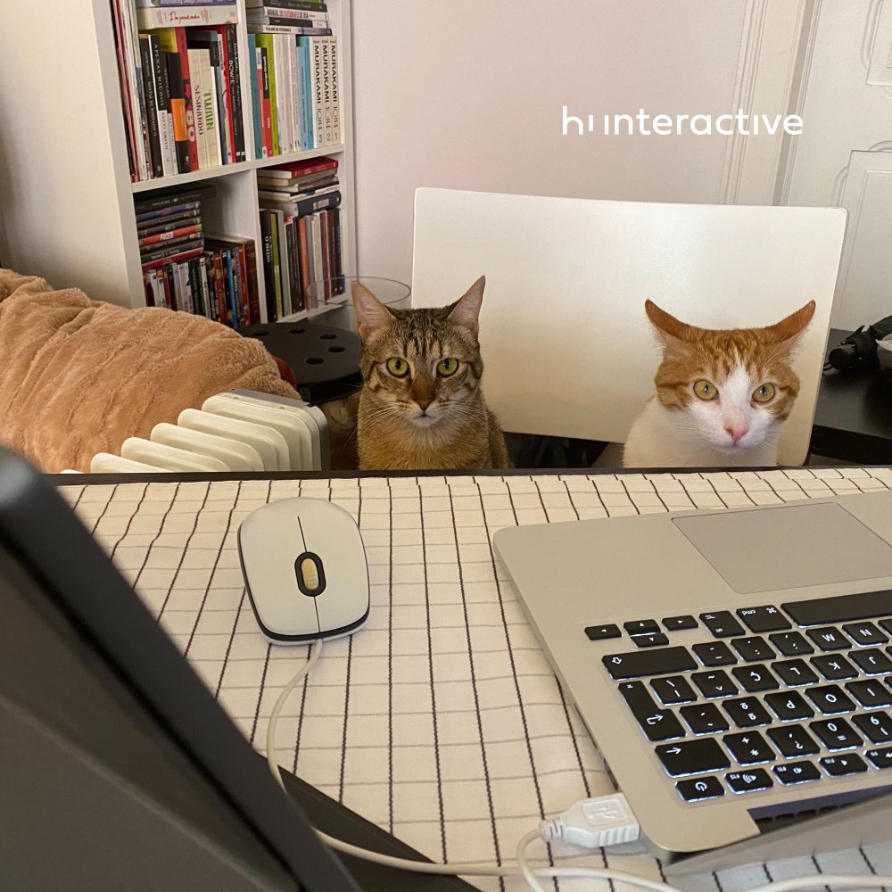 hiinteractive's tweet image. Talking with our teammates by the digital sharing tools turns the task easier. But there's nothing more joyful than having the fellowship of our little buddies. They have that exceptional way to enrich our day and put a smile on everyone's face!
#WorkDigitally #StayHome #HiRemote