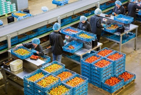 Efficient at work tweet media