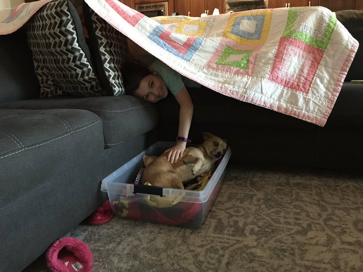 TaraCBuck's tweet photo. It is โLetโs be creative!โ Day on our 1st ever Virtual Spirit Week. @MahaffeyKISD @ptomahaffey We decided to build some forts in the living room. #creativityathome #buildafort #petsincluded https://t.co/N6vXsACzmg