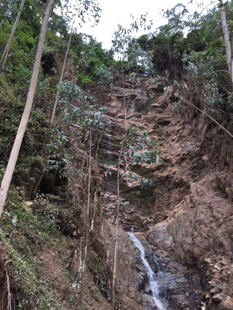 pakayezu's tweet photo. I can say this is the last trip in this area (Bweyeye Sector around Nyungwe NP), and everyday I see new interesting landscapes.
#monitoringactivities
#countrysides
#rwanda https://t.co/4q2fudsorK