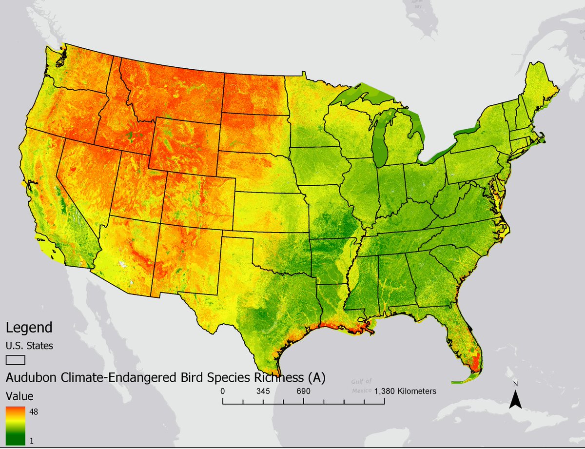 CASE_NMSU's tweet image. Bird Species Vulnerable to Range Loss from Climate Change by 2050 created by CASE in cooperation with Audubon, USGS, EPA, and NCSU.  
#Biodiversity #EcosystemServices #BiodiversityConservation 
#GapAnalysisProject: on.doi.gov/2OORrbK 
#EnviroAtlas: epa.gov/enviroatlas