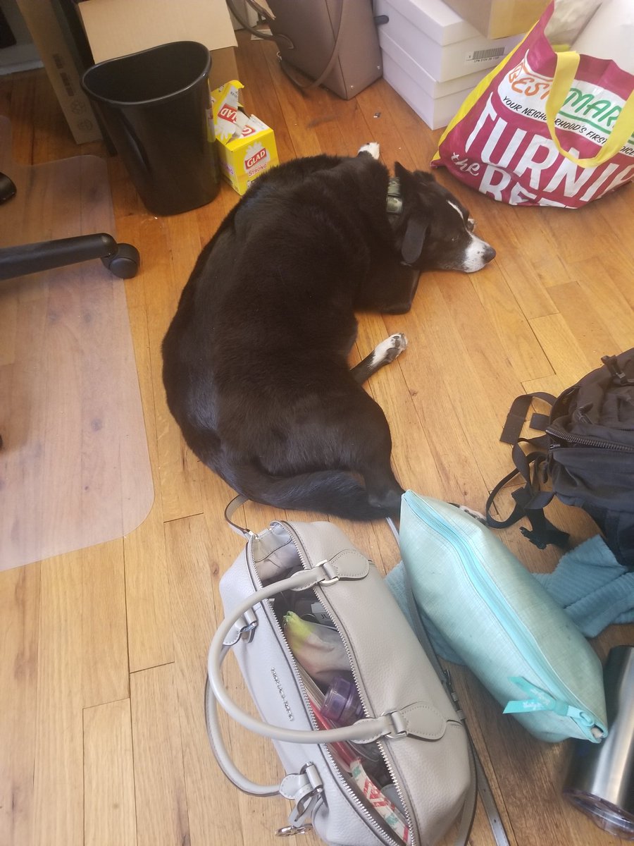 JennCapz's tweet photo. My coworker is laying down on the job. Literally. In the middle of the office floor. And hes not even keeping the 6ft distance #COVID19 #SocialDistanacing https://t.co/7xrk2guiCV