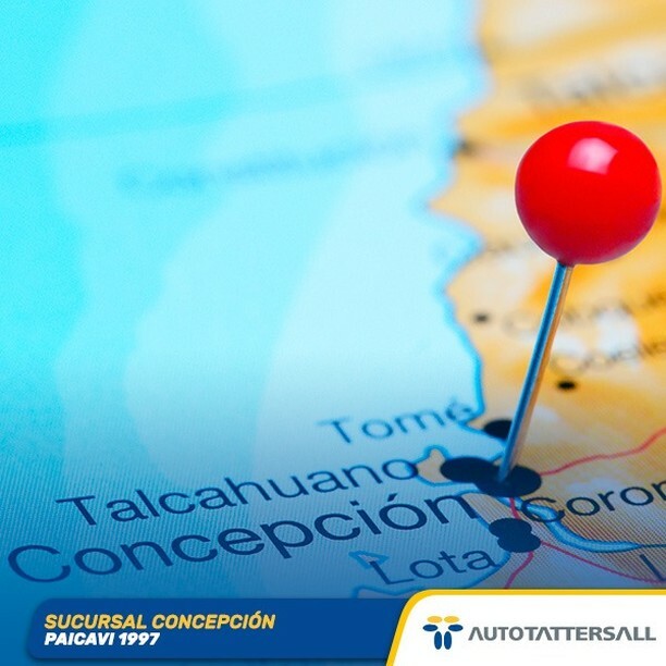AutoTattersall's tweet photo. ¿Aún no conoces nuestra sucursal en Concepción? ¡Te estamos esperando con una enorme variedad de modelos!

#autotattersall #chile #autosusados #autosusadoschile #autotattersallconcesionarios #concesionarios #autotattersallchile #revisionesanuales #revisi… https://t.co/wn16N5P7Sx https://t.co/COZ5zttJpQ
