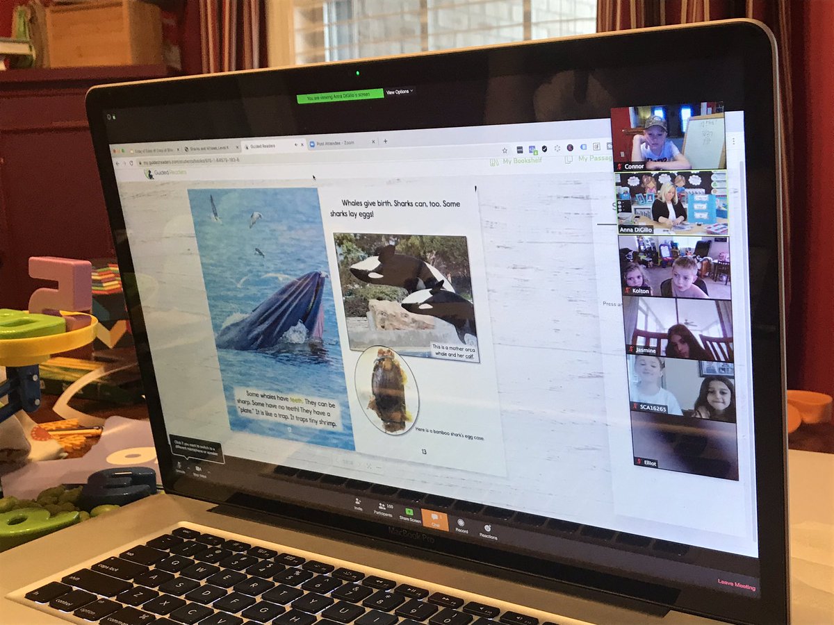 gentry_nickie's tweet photo. Looking for fun, rigorous reading lessons for your child? Check out Simply Skilled in Second’s live reading lessons, Monday through Thursday. Completely free, materials included! @BriarwoodES #NTIKY #BEworkers https://t.co/muBgbYEKEX https://t.co/71AqA13pi7