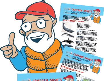 Kids at home? We've got your back! Check out the Atlantic Cup Kids Program presented by <a href="/11thHourRacing/">11th Hour Racing</a> for some fun and engaging worksheets for those in 3rd to 5th Grade! buff.ly/2J0ez3u #homeschool #educationaltools