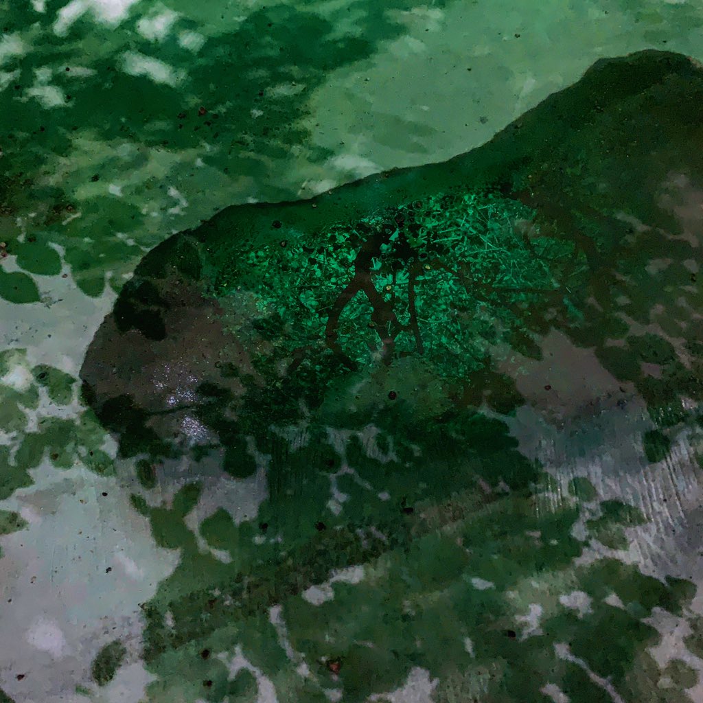 ParomaMukherjee's tweet photo. A necessary departure from isolation into well, solitude. #workinthetimesofcorona #office #night #TreesofDelhi #worknights #photograph 

Kind note: Copyrighted, personal image. https://t.co/ZYNE1uhHHp