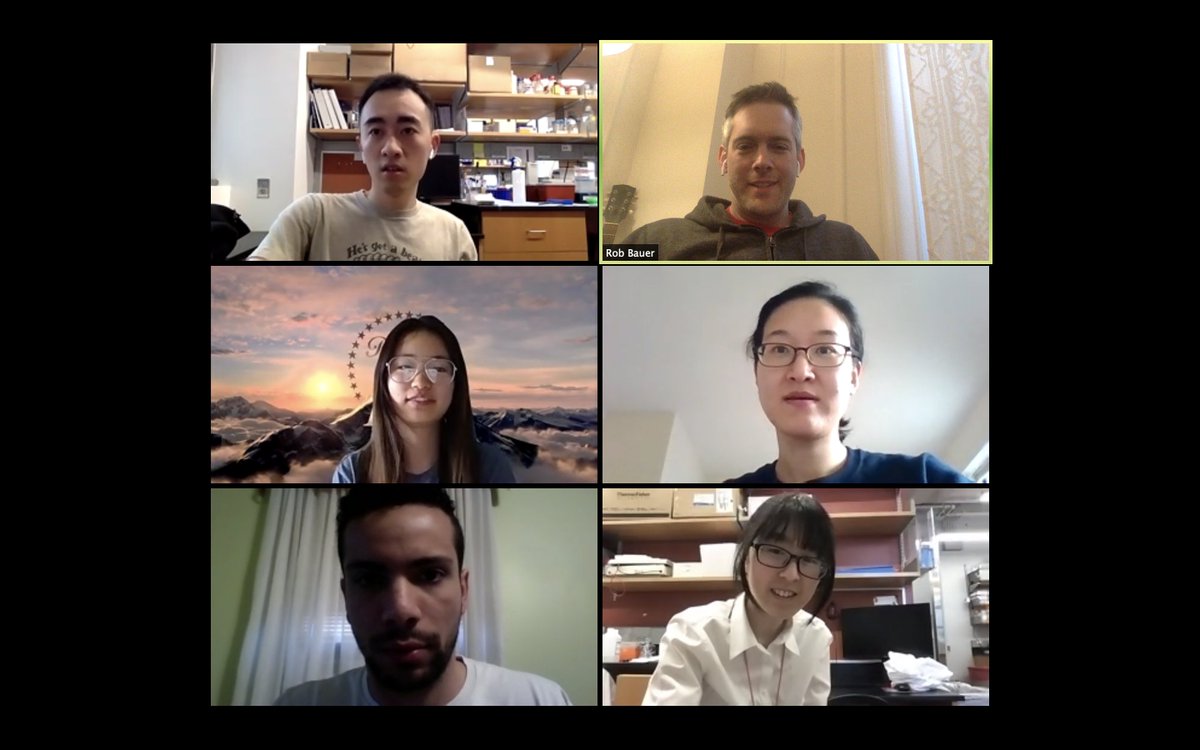RobertCBauer's tweet photo. Jumping on the Zoom lab meeting bandwagon. #LabFromHome https://t.co/gltIHkF7em