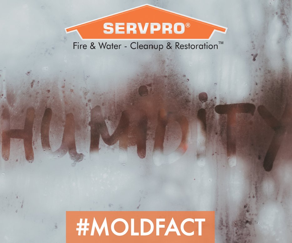 SERVPRO_NTempe's tweet photo. Mold spores grow and multiply when given an environment with humidity and moisture levels. #MoldFact https://t.co/0PQ2sbZNKh