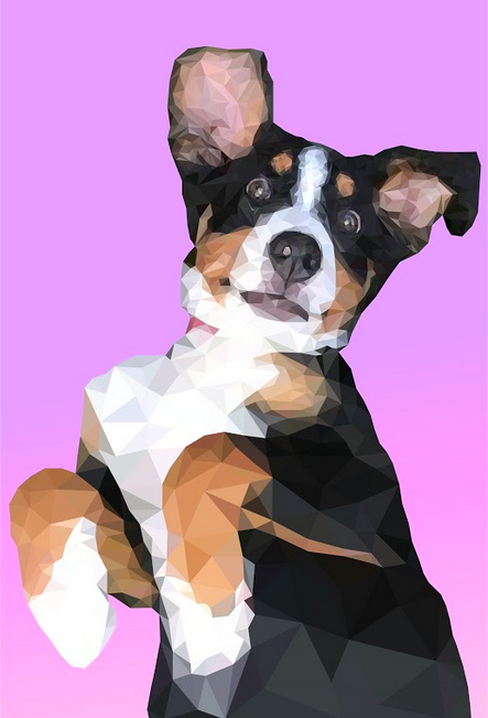 MrHicksArt's tweet photo. As promised, here's the low poly geometric artwork of dogs...and one imposter 😎. Images by Justin Rudisill, Maci James, Brooke Griffin, and LJ Steving #DAPProjectoftheDay https://t.co/WSOiR8VriA