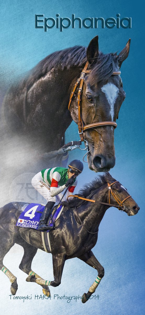 原カメ コロナに負けるな 非力ながら突然 競馬を盛り上げる 企画をやってみよう リクエストにお応えして エピファネイア 携帯用壁紙 I Phone用 を作成しました フォロー リツイートで壁紙持って行ってください 2枚目は使い方見本です 原カメ コロナに負けるな 非力ながら突然 競馬を盛り上げる 企画をやってみよう リクエストにお応えして エピファネイア 携帯用壁紙 I Phone用 を作成しました フォロー リツイートで壁紙持って行ってください 2枚目は使い方見本です
