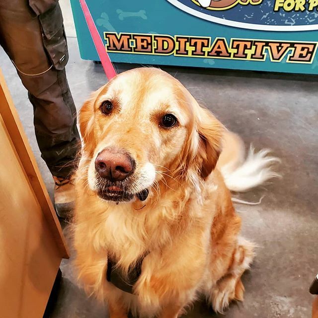 Growlies for Pets tweet media