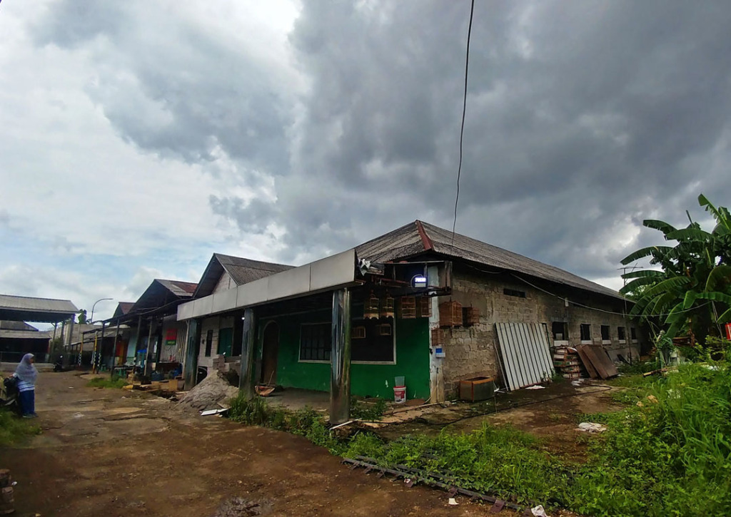 Saatnya Survive hensyam.wordpress.com/2020/03/19/saa…