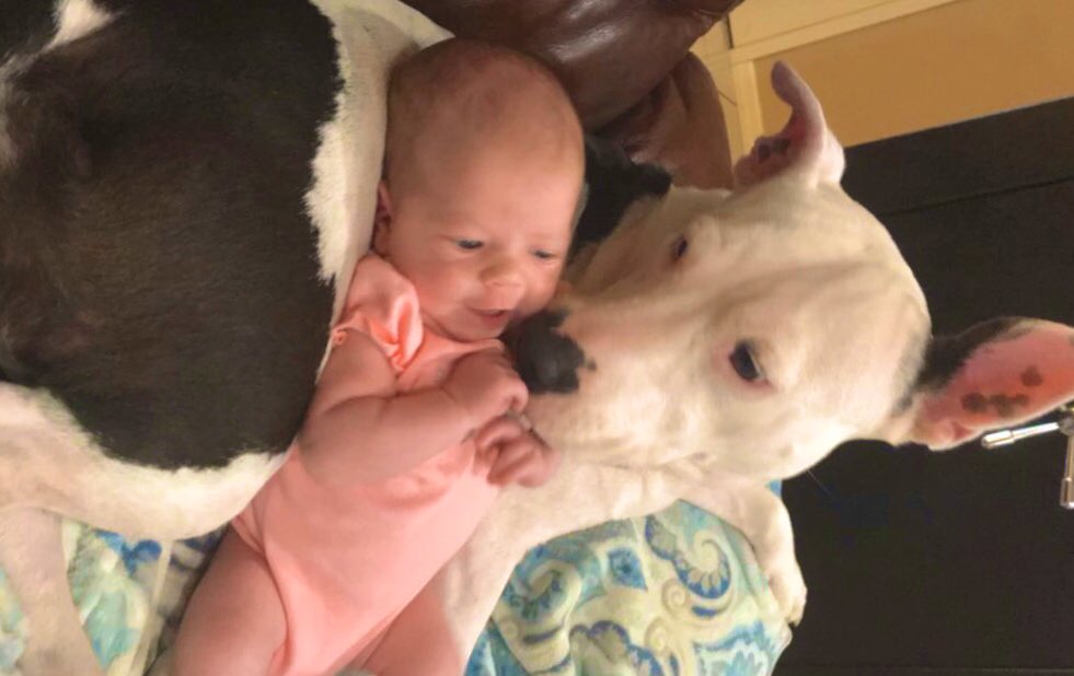 Meggggannnn0's tweet image. Newborn to Now💗