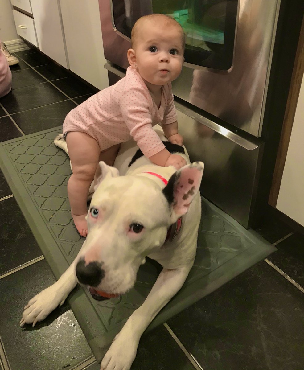 Meggggannnn0's tweet image. Newborn to Now💗