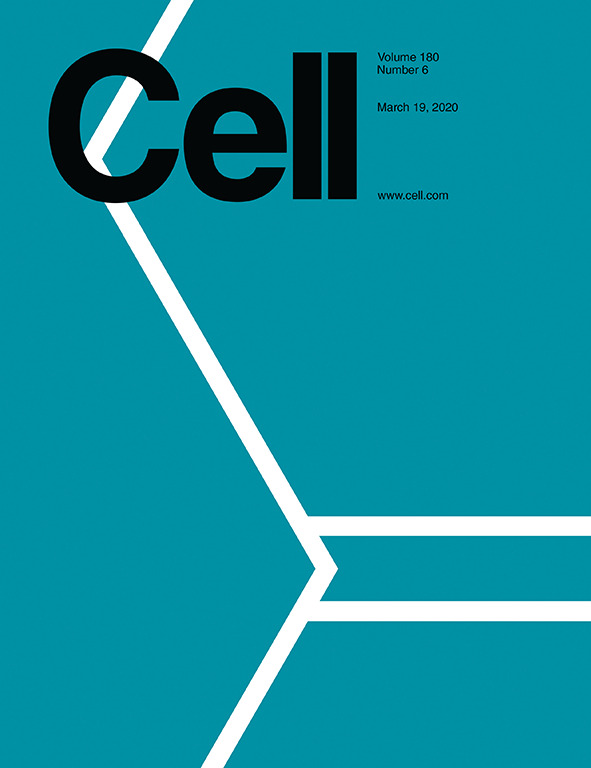 Proud to contribute to today’s cover <a href="/CellCellPress/">Cell</a> !!
cell.com/cell/current
bit.ly/2QtSzSF
A collaborative work w/ Profs. Aiden Haghikia, Ralf Linker and Ralf Gold <a href="/ruhrunibochum/">Ruhr-Universität Bochum</a>
Congrats to Sara G., Sara DMR. and Sivan!!