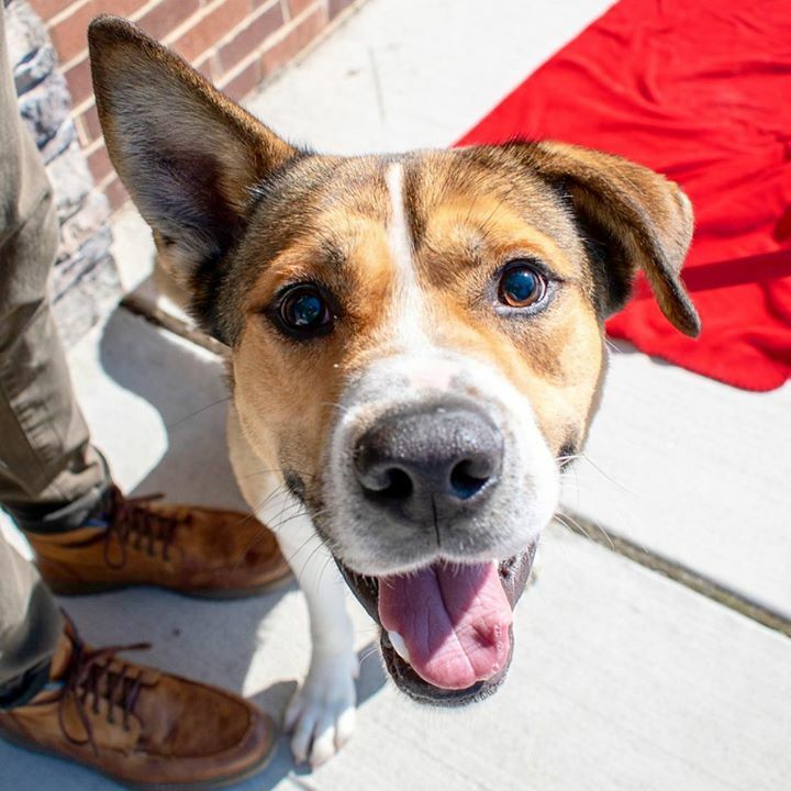 Home At Last tweet media