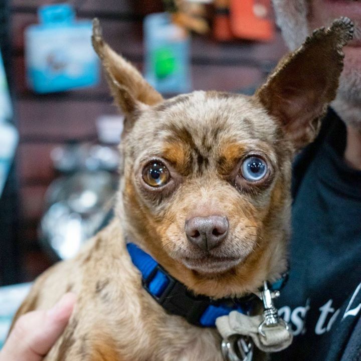 Home At Last tweet media