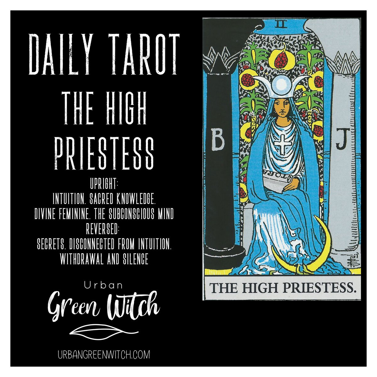 UrbanGreenWitch's tweet photo. The Daily Tarot
The High Priestess
Upright: Intuition, sacred knowledge, divine feminine, the subconscious mind
Reversed: Secrets, disconnected from intuition, withdrawal and silence
Learn More
#TarotReading #dailytarot #TheUrbanGreenWitch #GreenWit ... https://t.co/TKQRmia8o4 https://t.co/dxyx7Bdu8A