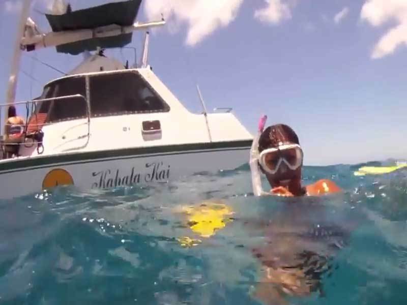 scuba_hawaii's tweet photo. RainbowScuba: KGoetz2005 : Super cute turtle!
#Hawaii #scuba #Gopro #turtle #seaturtle #divingtour #adorableturtle #divingday #greenseaturtle #thursdaydiving #cuteturtleface #greatdivingday #turtletour https://t.co/Uaj03QONK9 hawaiiscubadiving … … https://t.co/20nScNxSAg