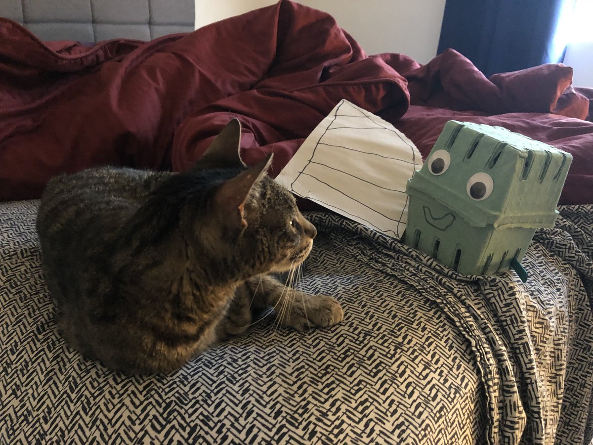 stephmarlett's tweet photo. Idea #14 - make a cat toy (satisfaction of cat not required) https://t.co/SRkZUHcb4D