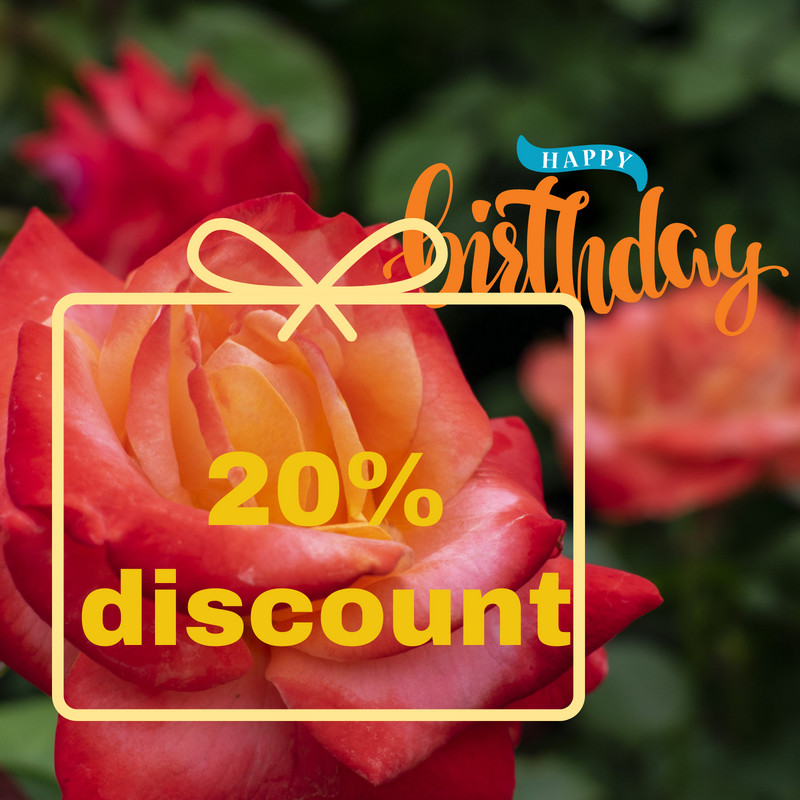 We are celebrating our 49th BIRTHDAY on Sat 21 March and giving you 20% off all roses :)