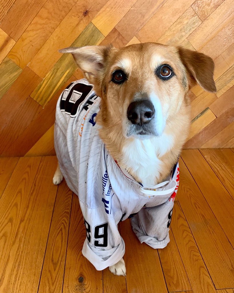 It was a sad ending to an amazing year with <a href="/ehcfreiburg/">Emerald Gray</a>. Amazing city and people!  See you next year (with our plus one 👶). Stay safe everyone! #zumwohl #deutschland🇩🇪