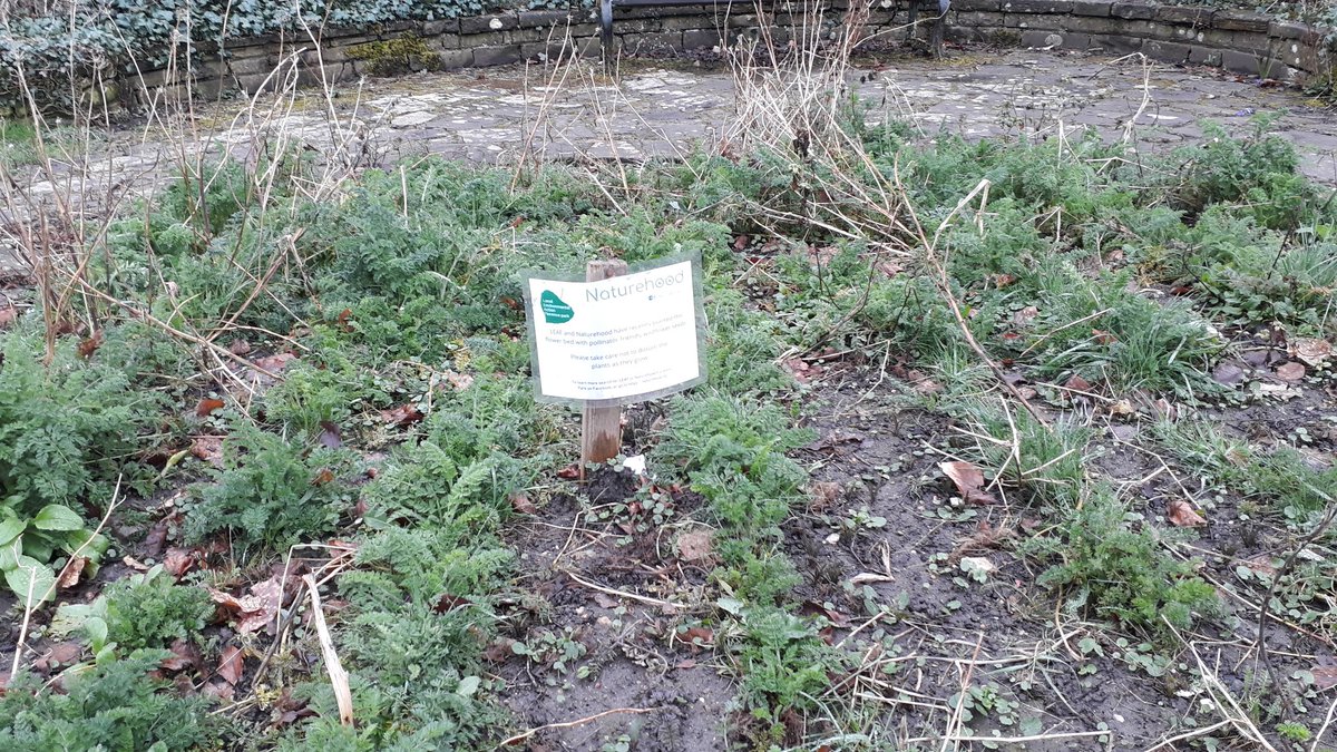 @Naturehood_Ox @CAGOxfordshire @BBOWT @LGSpace @LittleOxplorers @larkriseprimary @oldmarstonpc @OxfordCity @urbanponds101 @The_RHS @friendlyevalley Can we do any weeding or anything similar here? Or monitoring?